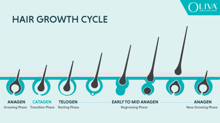 Hair Growth Cycle Explained in Simple Words